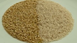 WHITE OR BROWN RICE? | Furious Pete Talks