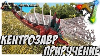 ARK  Survival Evolved - ПРИРУЧЕНИЕ КЕНТРОЗАВРА! TAMING KENTROSAURUS!