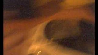 Sensibilidad Motorizada - Videoarte