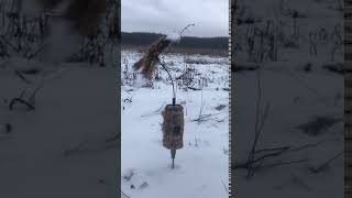 приманка на хищника MOJO Critter