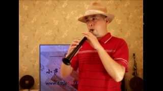 Misty (LittleSax - Little Sax - Simple type of saxophone, Like Xaphoon, pocket Sax)
