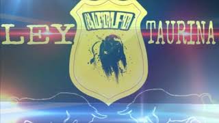 Canciones para torneos de lazo