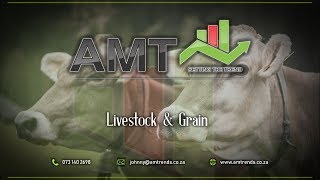 AMT Graan en Lewendehawe Oorsig - 24 Julie 2019