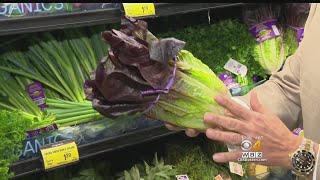 Fresh Grocer: Red Romaine Lettuce