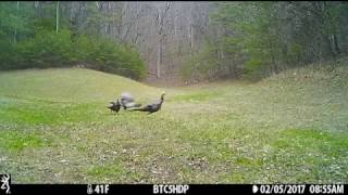 Browning Strike Force Pro Video Quality