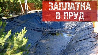 Бобёр - Фрагмент 98.