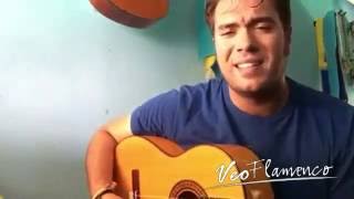 Leon Martinez - uno por uno (de Manuel Carrasco​) | VEOFLAMENCO