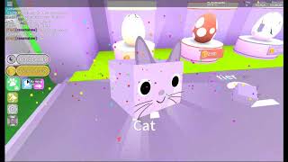 Playing with 2 OP noob pets (Dog & Cat) in Roblox Pet Simulator