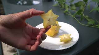 Фрукт Карамбола (Звездчатый фрукт)/ Carambola (Star fruit)