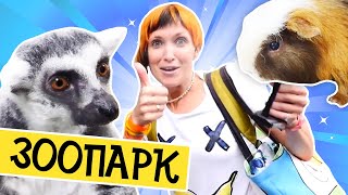 Маша Капуки идет в Контактный зоопарк в Питере - Как провести выходные - Куда сходить