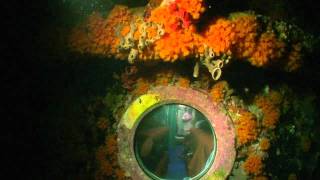 Aquarius Reef Base Habitat: Night Dive