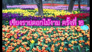 เชียงรายดอกไม้งาม ครั้งที่ 16