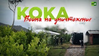 Кока. Война на уничтожение