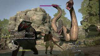 Dragon's Dogma: Dark Arisen / PS4 PRO Gameplay / Boss Fight