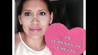 19 semanas de embarazo gemelar