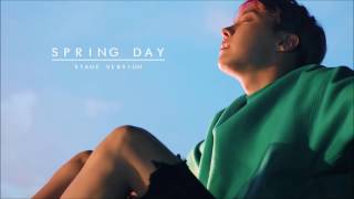 [3D CONCERT] BTS "Spring Day" stage version