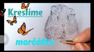 Jak nakreslit morčátko? How drawing a guinea pig