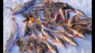 Рыбалка по первому льду! Крупный окунь и щука на балансир! Порыбачили просто отлично!