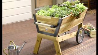 Watch: All About U-Gardens