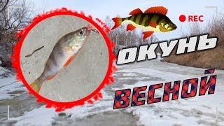 ШОК НА РЫБАЛКЕ ВЕСНОЙ_ЧУТЬ НЕ УТОНУЛ(НО ОКУНЯ НАЛОВИЛ)