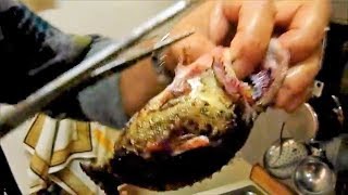 Как Почистить Морской Ерш или Скорпену MyRecept