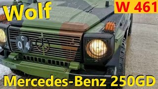 Mercedes-benz 250 GD Wolf // Авто в Германии