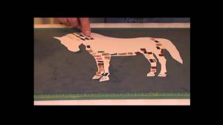 Merry's Eclectic Interests - Mosaic Horse and Buffalo Bill Cody's legenday pony express ride.