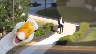 My name is Giovanni Giorgio but... Man crossed the road to a goose