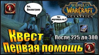 Квест Первая помощь после 225 Орда в WOW:Classic