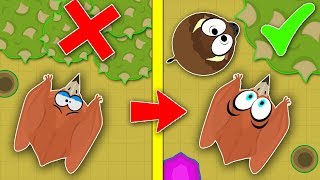 MOPE.IO / NEW BEST FARMING XP METHOD WITH BISON & PTERODACTYL! / SUPER FAST XP GLITCH METHOD!