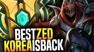 Best Zed Korea is Back! - Korean Master Zed Main Showing His Mechanics! | Korean Masters