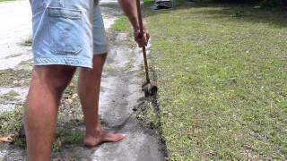 Rotary Edger