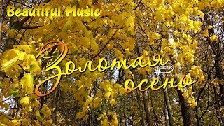 КАК КРАСИВО - Посмотрите! ?  Beautiful Music Collection Очаровательная золотая осень