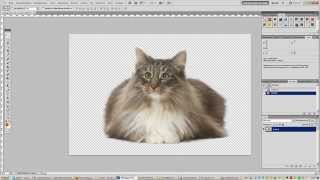 Как обрезать кошку. Extract in Photoshop.