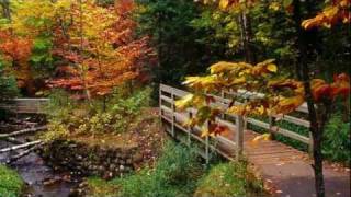 Experiance Fall Foliage in a Cruise America RV