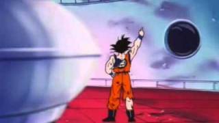 Son Goku 100g