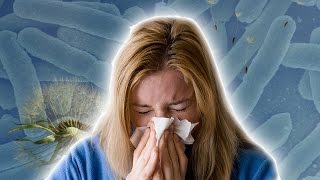 What’s In Your Air?