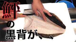 60cmのヒラメを究極の血抜きして熟成させて捌く。【Flatfish handle &Aging fish】