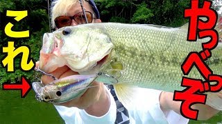 釣れない時に「これ」を使うとどうなるか？やっべっぞ！