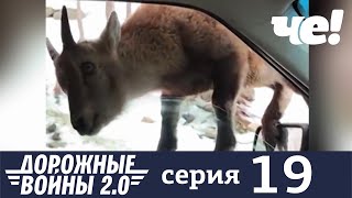 Дорожные войны | Сезон 8 | Выпуск 19