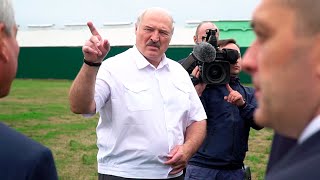 Лукашенко: Всю страну перевели на военное положение! // Рабочая поездка Президента в Витебский район