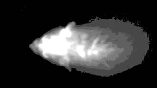 Novel Tumor Fluorescence Agents