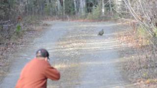 Hunter fail = lucky grouse
