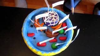 cell project