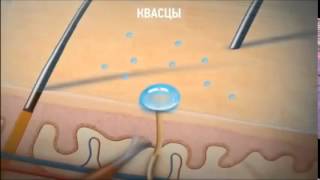 натуральные дезодоранты- Кристаллы ДеоНат(DEONAT) в Беларуси
