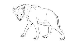 How to Draw a Hyena / Как нарисовать гиену
