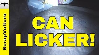 DUMPSTER Diving for Scrap Metal Money & Professional Can Licking Dog!