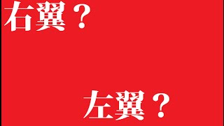 右翼と左翼の違いを池上彰風に解説。街宣車や軍歌の団体も喧嘩しないで☆