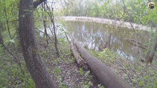 Сухопутный микроджиг...bogomaz05