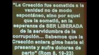 LA VERDADERA CURACIÓN 12